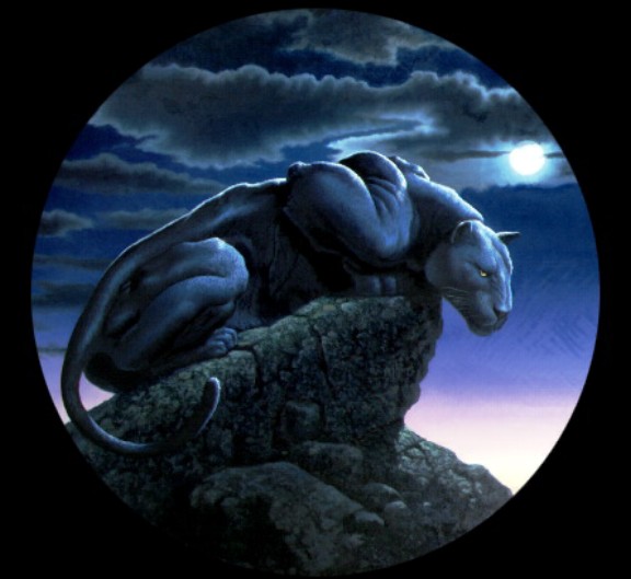 Panther on Rock