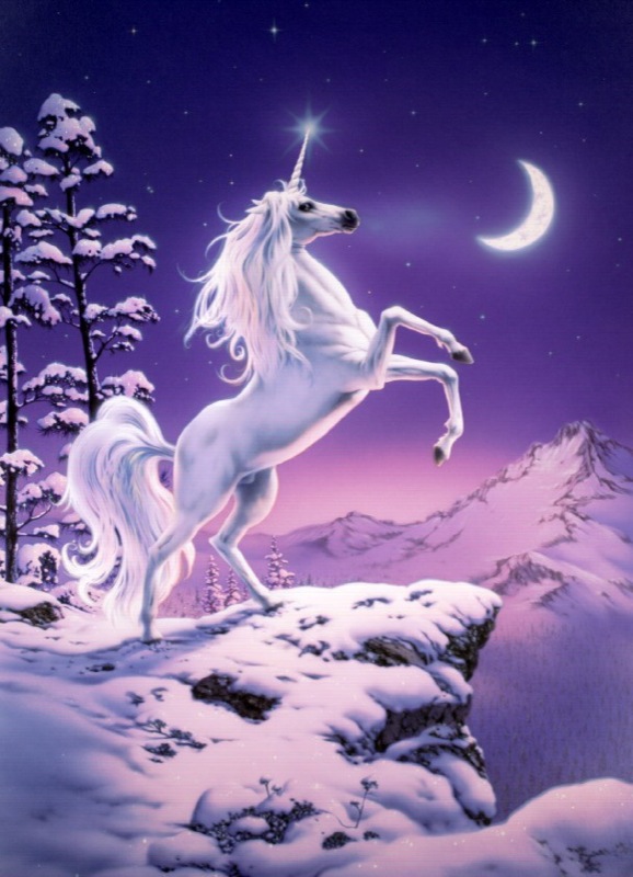 Moonlight Unicorn