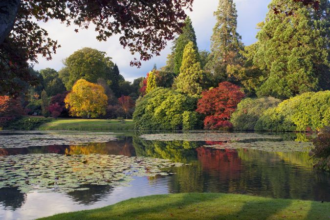 Autumn in Sheffield Park