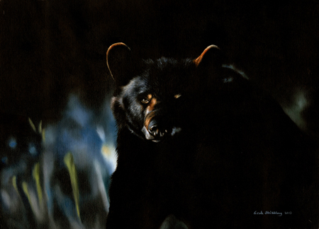 Black Bear at Night