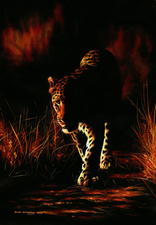 Leopard Walking at Night