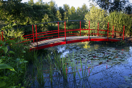 Waterlily Bridge