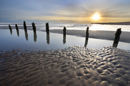 Winchelsea Beach at Dusk CP113