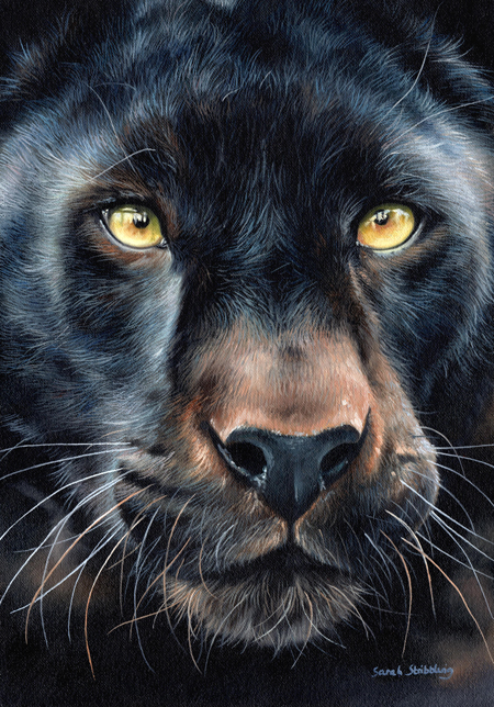 Black Panther Portrait