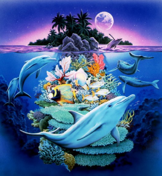 Dolphin Isle