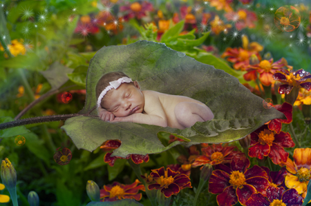 Baby Kaia Leaf