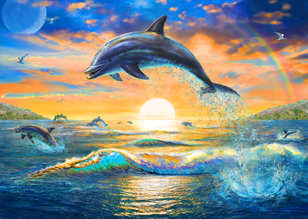 Dolphin Sunrise