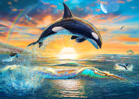 Orca Whale Dawn