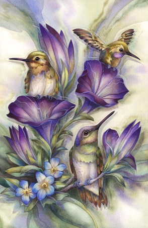 Flower Hummingbirds 936