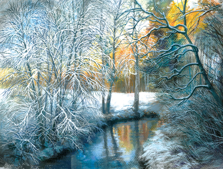 Winter – The Pond