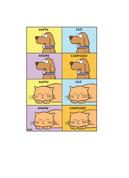 Cat & Dog – Emotions