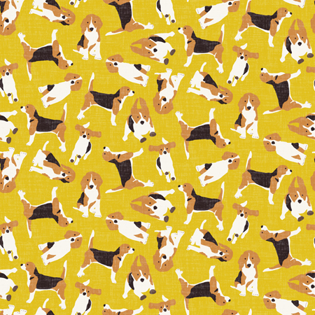 Beagle Scatter