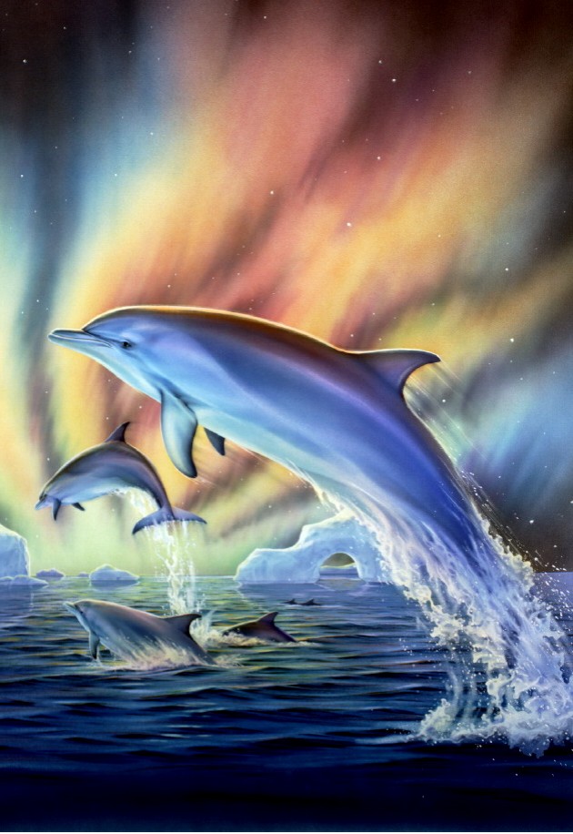 Cosmic Dolphins