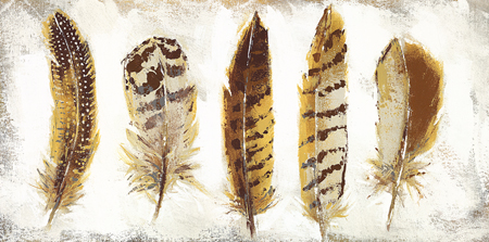 Feathers