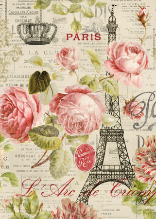 Paris Roses