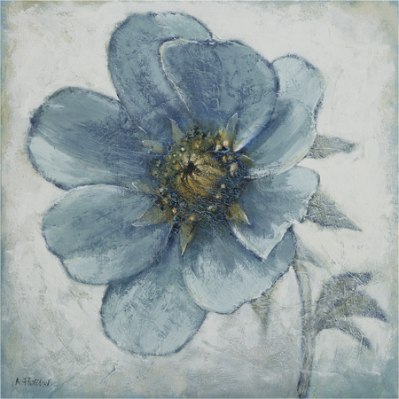 Blue Poppy Single – AM