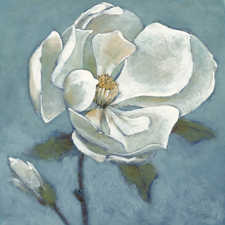 Magnolia Single