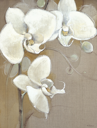 Orchid Whites