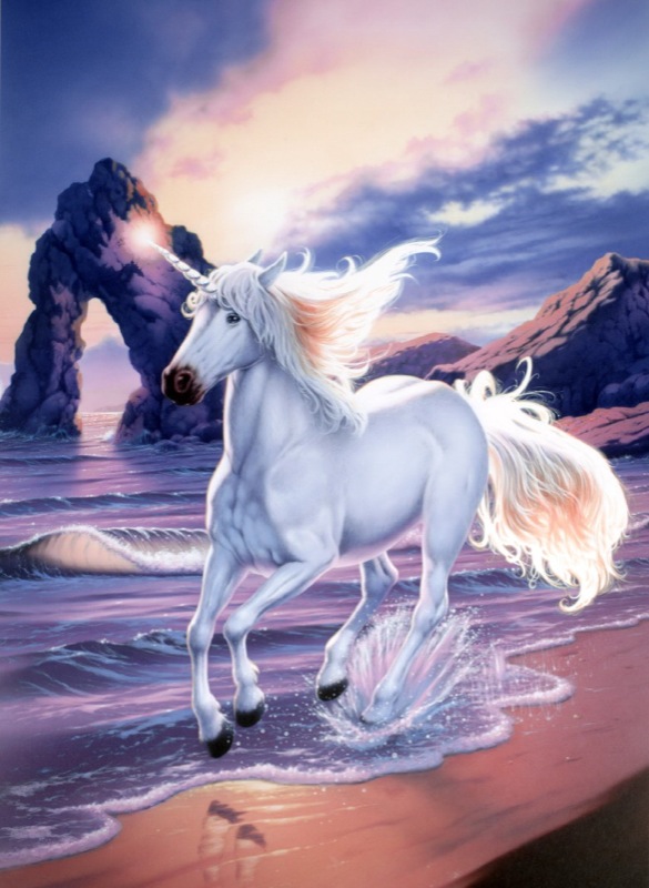 Unicorn Beach