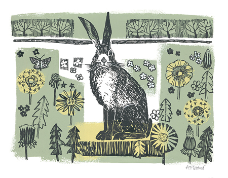 Spring Hare