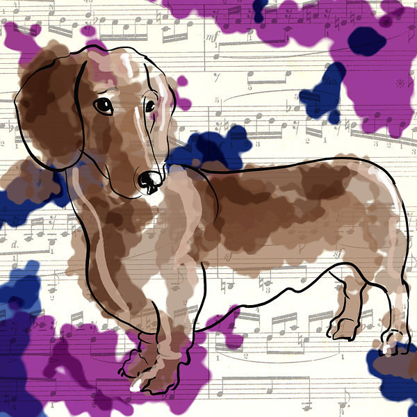 The Painted Dachsund