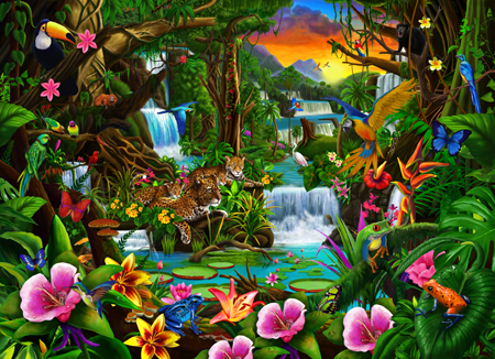 Beautiful Rainforest