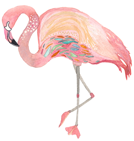 Pink Flamingo Collection