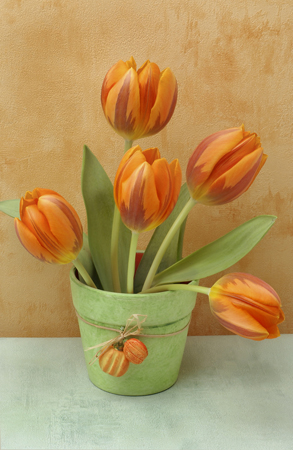 Orange Tulip Pot