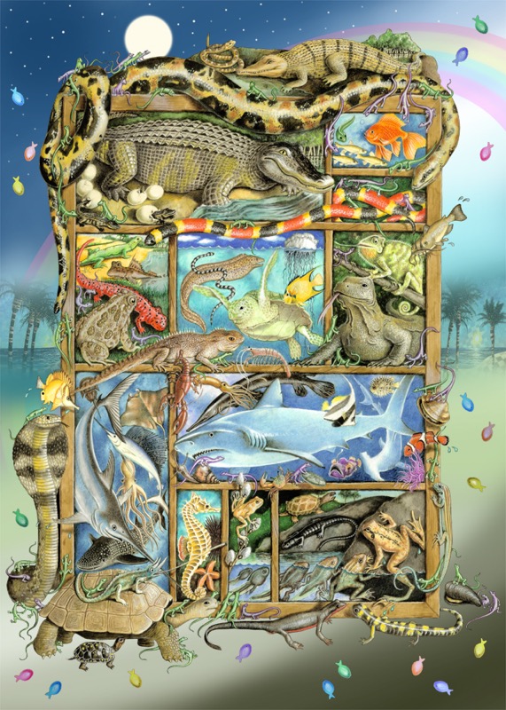 Reptiles, Fish & Amphibians Shadowbox Hunt