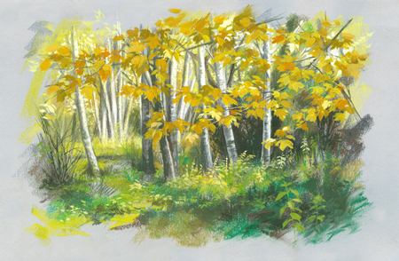 Autumn Birches