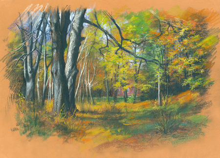 Autumn Chestnut Trees