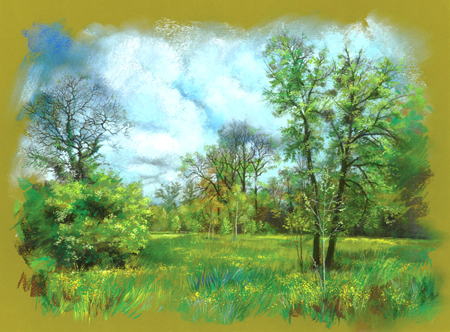 Spring – The Meadow