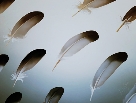 Feather Pattern