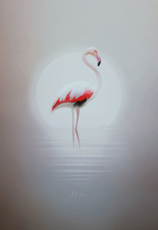 Moonlight Flamingo