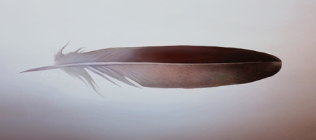 Swift Feather