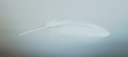 White Swan Feather