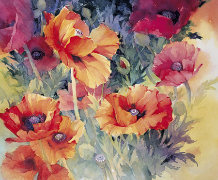 Morning Poppies