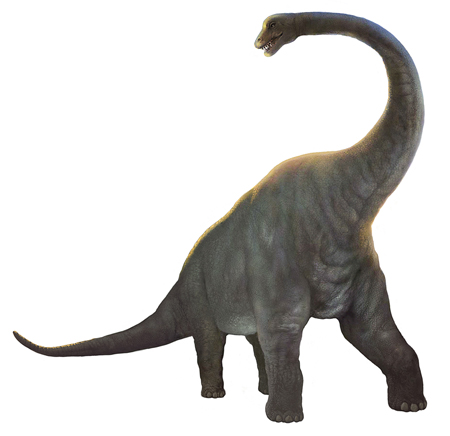 Brontosaurus Cut Out