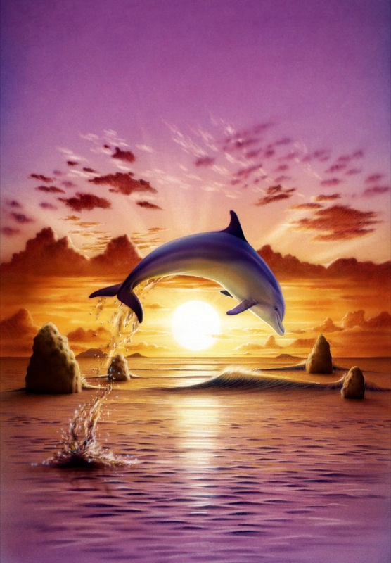 Day of the Dolphin