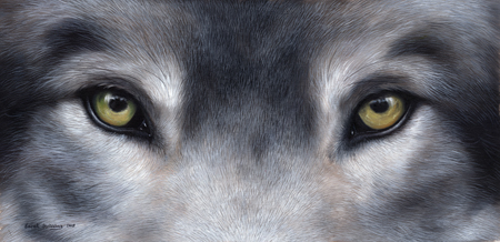 Wolf Eyes