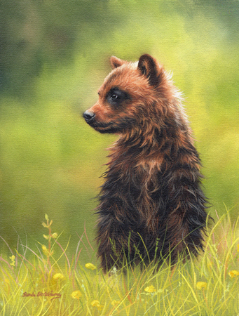 Brown Bear Cub