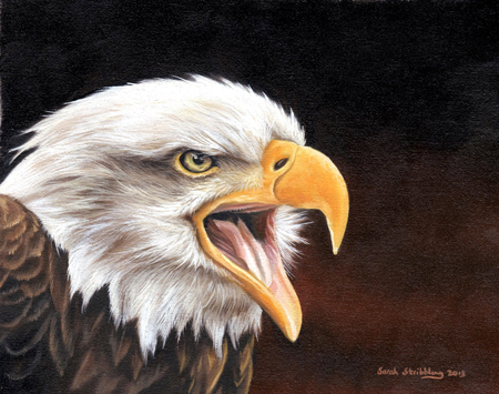 Bald Eagle Painting