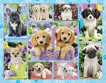 Puppy Multipic 2015