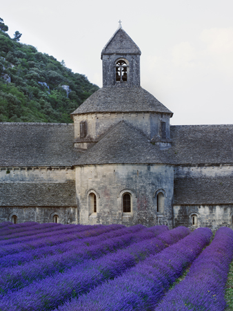 Lavender Church