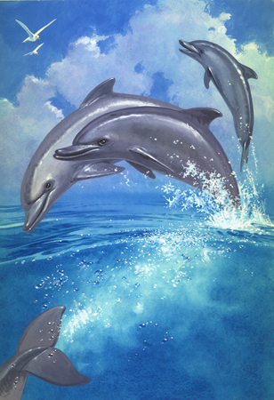 Dolphins at Play