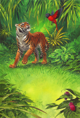 Tiger in Forest - MGL - Art Licensing : MGL – Art Licensing