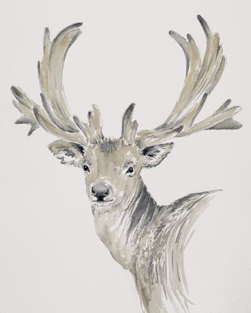 Stag