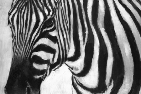 Zebra – AM