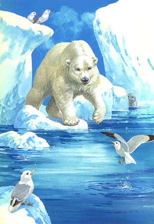 Polar Bears on Ice