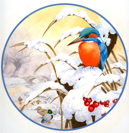 Kingfisher Plate